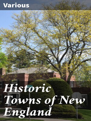 cover image of Historic Towns of New England